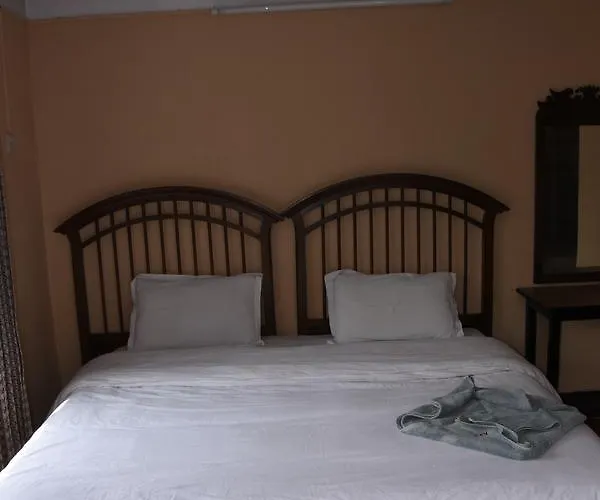 Beehive Hostel