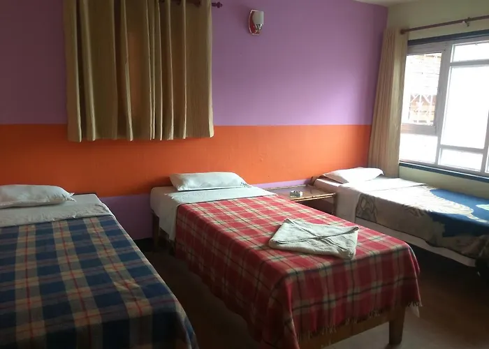 Beehive Hostel