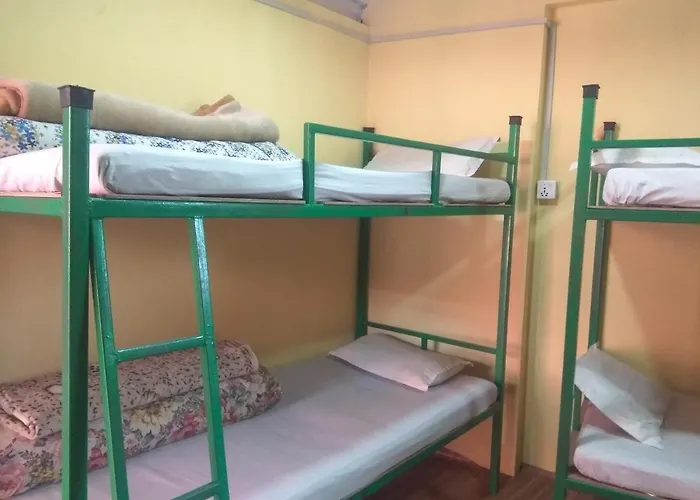 Hostel Beehive *