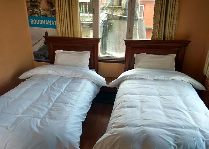 Hostel Beehive *