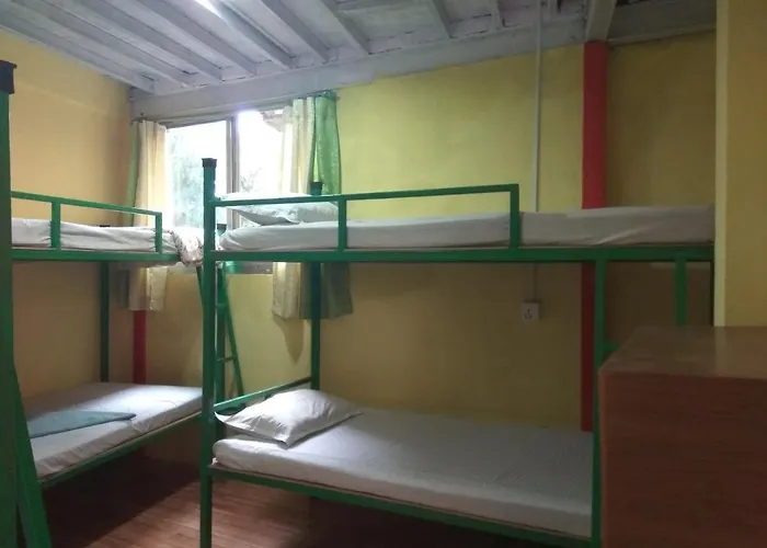 Hostel Beehive *